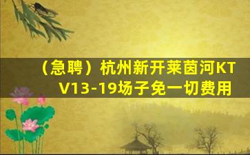 三沙夜场招聘